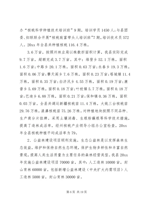 林业局工作总结暨工作计划.docx