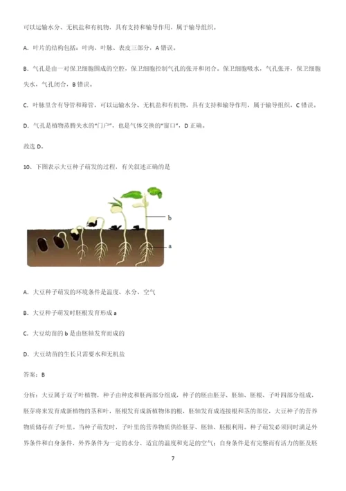 人教版2023初中生物七年级上册第三单元生物圈中的绿色植物重点知识点大全.docx