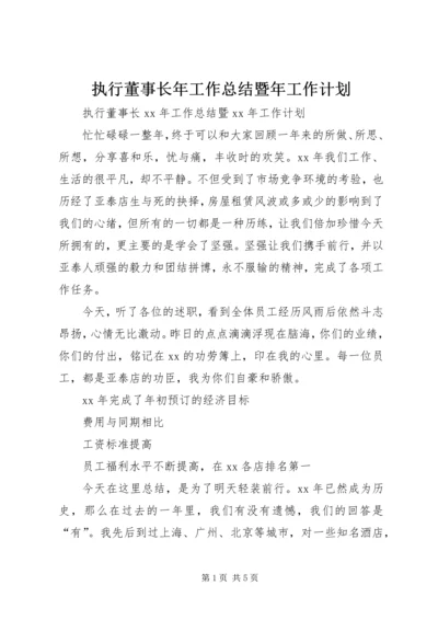 执行董事长年工作总结暨年工作计划.docx