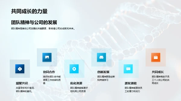 打造高效团队