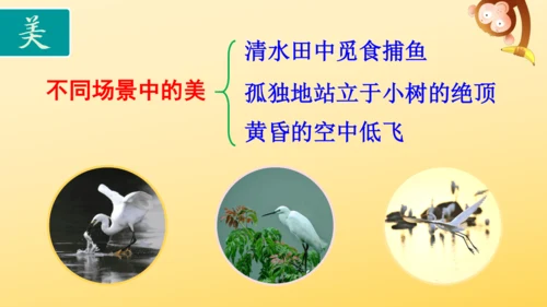 1 白鹭   课件