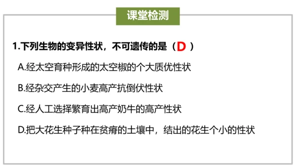 八下 第七单元复习课件(共58张PPT)