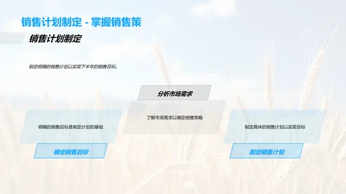 农产销售年中盘点
