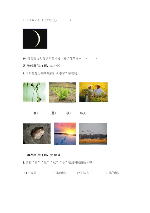 教科版科学二年级上册期末考试试卷（综合题）.docx