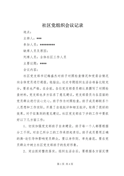 社区党组织会议记录.docx