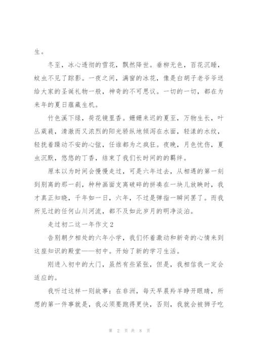 走过初二这一年作文5篇.docx