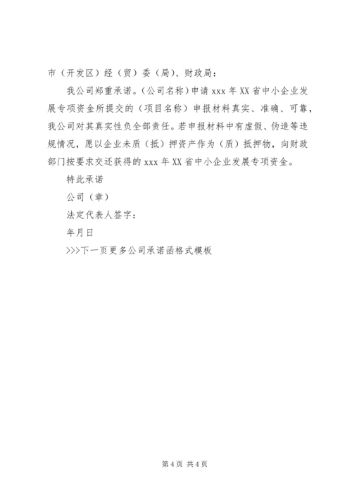 公司承诺函范文.docx