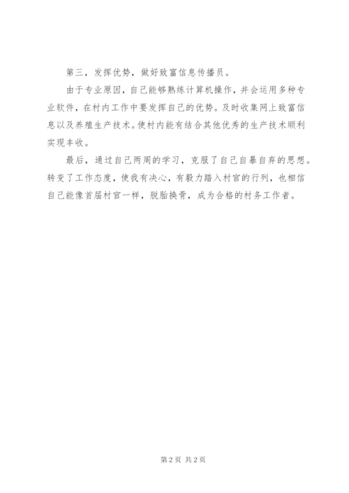 村官双周工作总结范文.docx