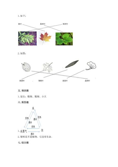 教科版科学一年级上册第一单元《植物》测试卷含答案（综合题）.docx