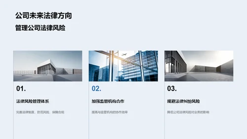 法律风险与公司战略