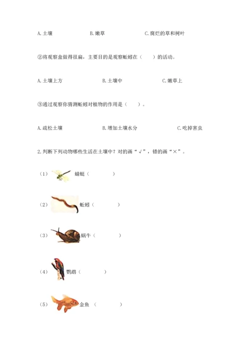 教科版科学二年级上册《期末测试卷》精品【名师系列】.docx