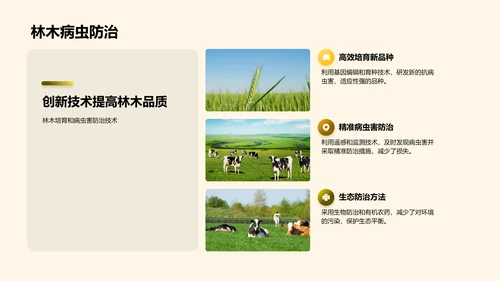 农场科技述职报告