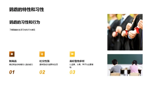 探秘动物世界