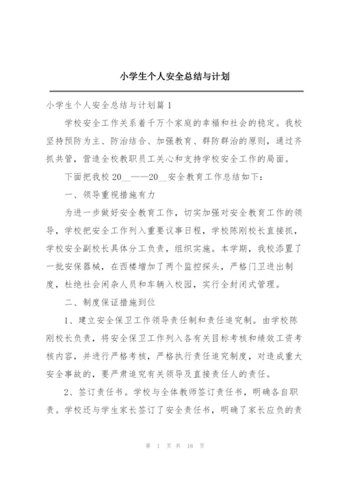 小学生个人安全总结与计划.docx