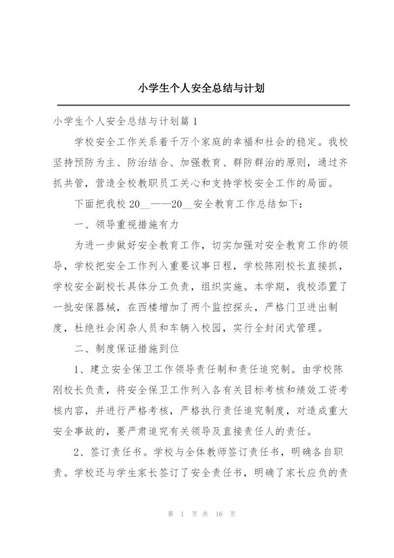 小学生个人安全总结与计划.docx