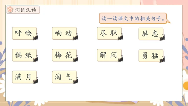 【核心素养】部编版语文四年级下册-13.猫 第1课时（课件）
