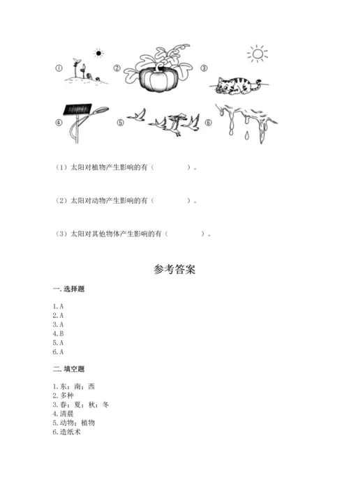 教科版二年级上册科学期末测试卷【a卷】.docx