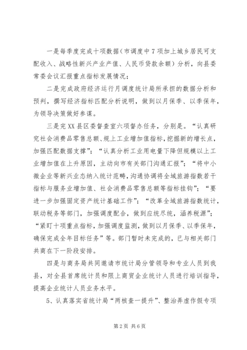 统计局总结及计划.docx