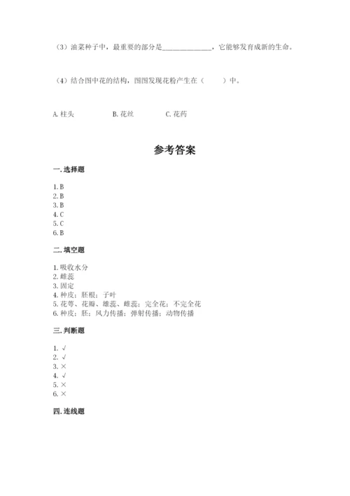 教科版科学四年级下册第一单元《植物的生长变化》测试卷【考点精练】.docx