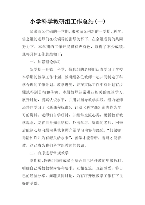 2020小学科学教研组工作总结3篇.docx