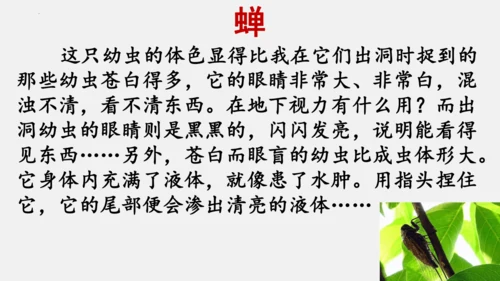 八年级上册语文第五单元 名著导读 《昆虫记》 课件