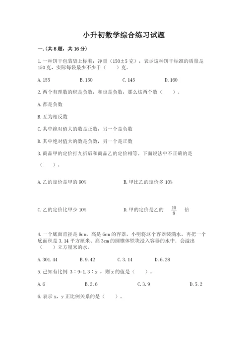 小升初数学综合练习试题（夺分金卷）.docx