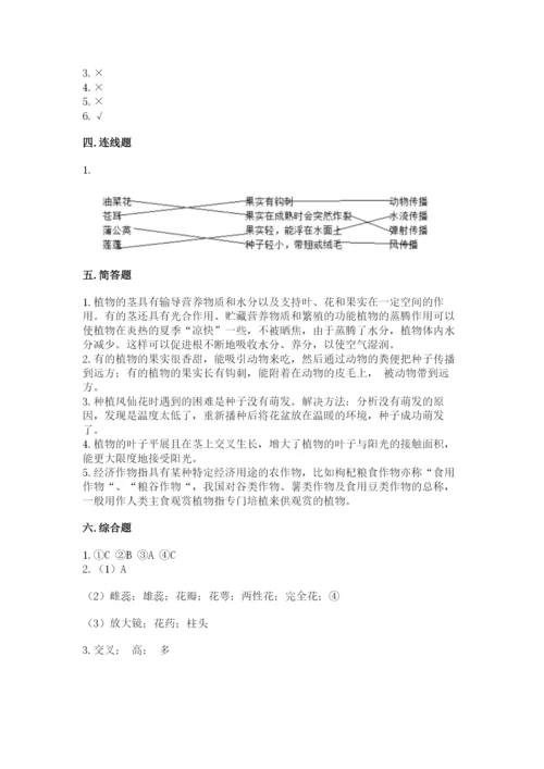 教科版科学四年级下册第一单元《植物的生长变化》测试卷精品（完整版）.docx