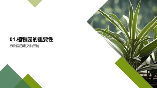 绿色卫士：植物园的力量