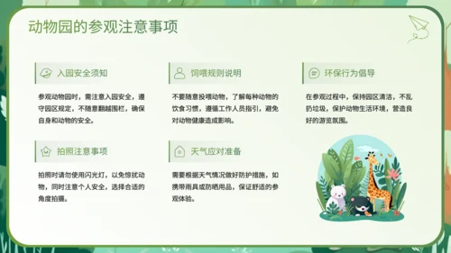 绿色插画风科普知识动物PPT