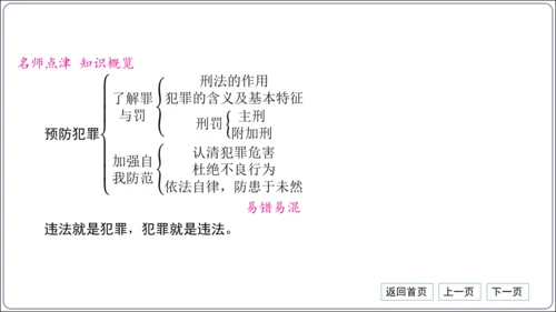 第二单元《遵守社会规则》核心考点梳理读记与精练【统编八上道法期中期末复习】课件(共54张PPT)