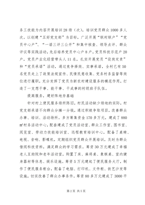 某村先进基层党组织典型材料.docx