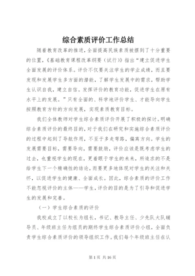 综合素质评价工作总结 (4).docx