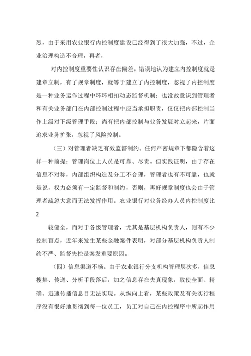农业银行内控管理.docx