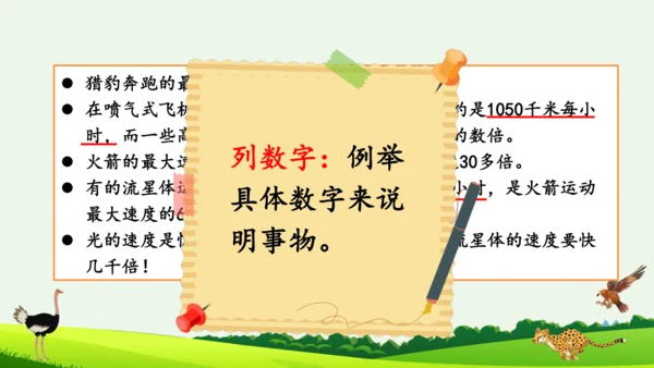 7 什么比猎豹的速度更快 第二课时 课件