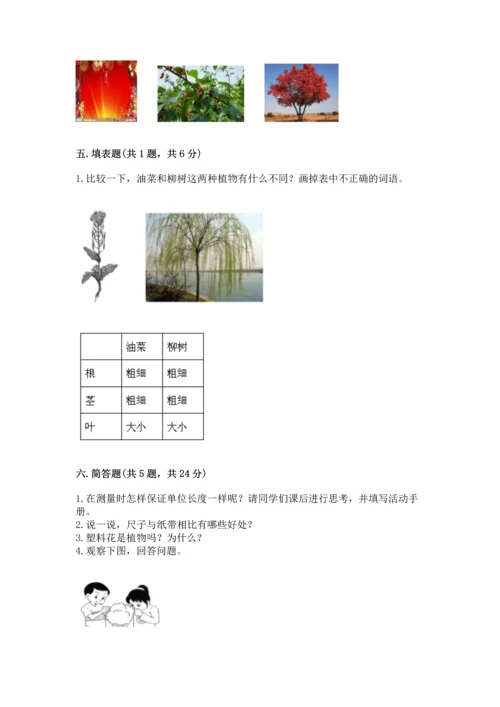 教科版科学一年级上册期末测试卷【中心小学】.docx