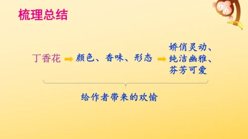 2 丁香结  课件
