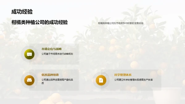 柑橘产业：未来之路
