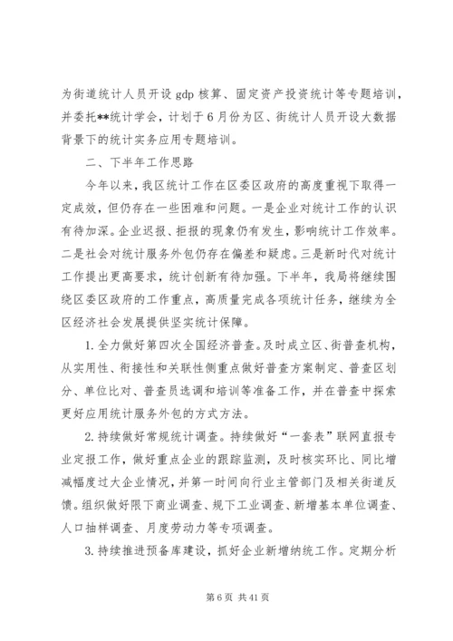 统计局上半年工作总结及下半年计划六篇.docx