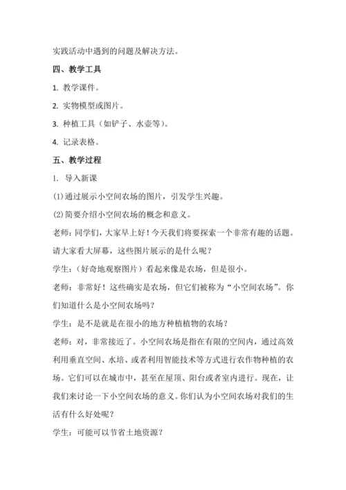北师大版六年级上册劳动《7.小空间大农场》教学设计