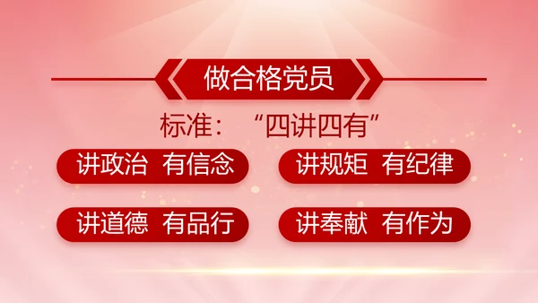 党建党支部民主生活会PPT党课
