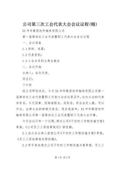 公司第三次工会代表大会会议议程(精) (5).docx