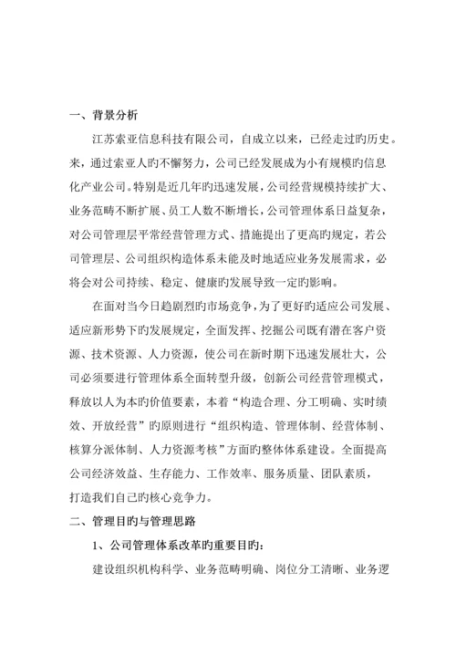 公司发展和管理体制改革专题方案.docx