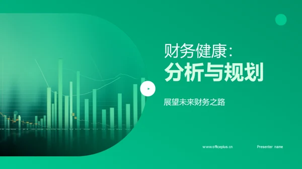 财务健康：分析与规划