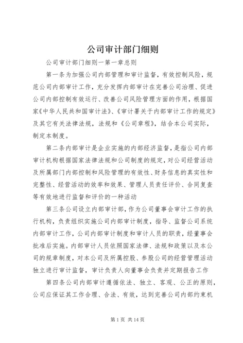 公司审计部门细则.docx