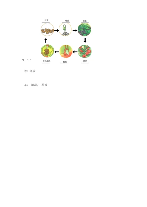 教科版科学四年级下册第一单元《植物的生长变化》测试卷精品【基础题】.docx