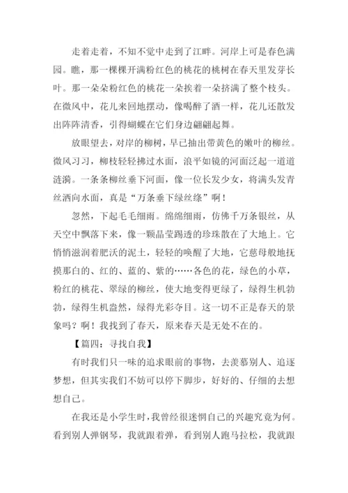 寻找什么半命题作文.docx