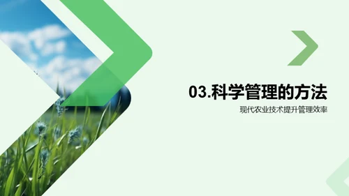 稻田科学种植