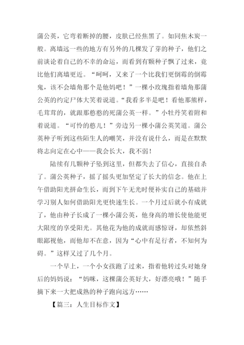 关于人生目标的作文.docx