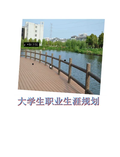 大学学业生涯规划