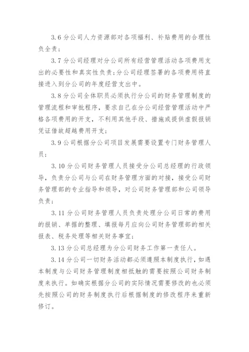 子公司财务管理规定.docx